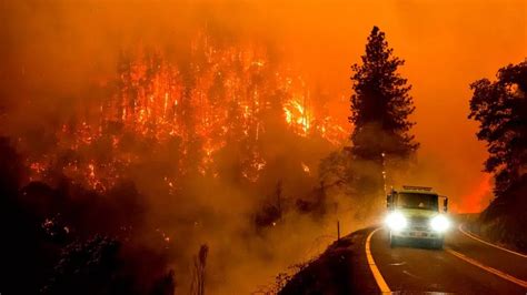 Si Nous Ne Faisons Rien Les Incendies De Forêt Comme Celui De Los