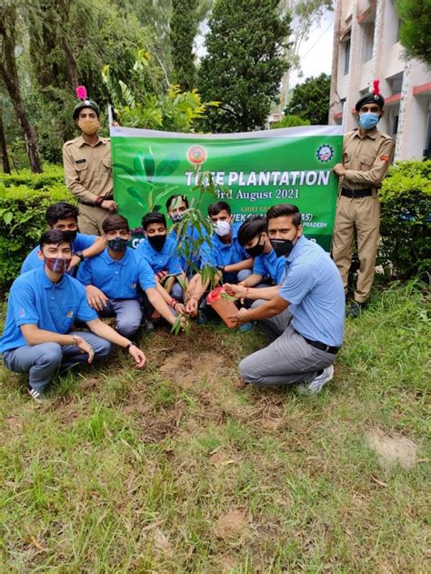 Tree Plantation Drive India Ncc