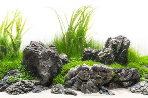 Prachtige Aquascaping Aquarium Rotsen Aquarium Stenen Aquaelshop