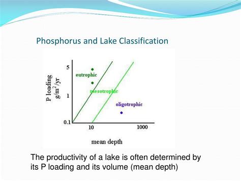 Ppt Phosphorus And Nitrogen Powerpoint Presentation Free Download Id 4653467