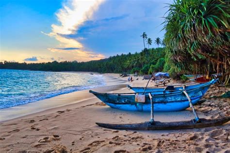 47 Essential Sri Lanka Travel Tips