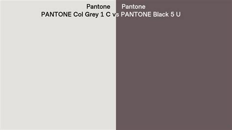 Pantone Col Grey 1 C Vs Pantone Black 5 U Side By Side Comparison