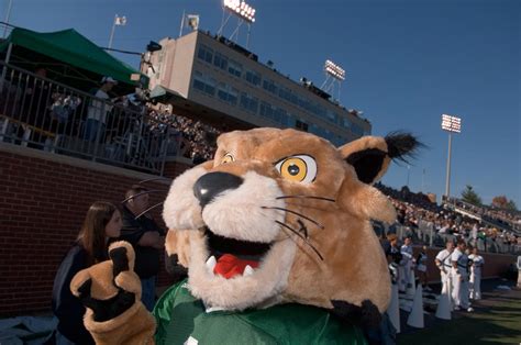 Mascot Fights: Rufus Bobcat, Brutus Buckeye, and the Best Battles Ever ...