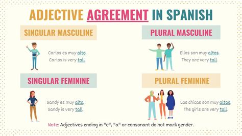 Spanish Adjectives Rules And Uses Of Adjectives In Spanish