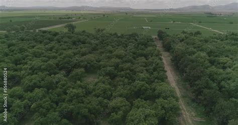 Vidéo Stock La agricultura es la actividad que se dedica al cultivo de