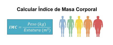 Índice De Masa Corporal ¿cómo Calcular El Peso Ideal Con Imc