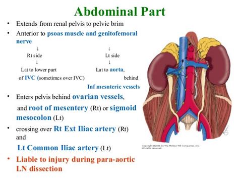 Ureteric Injury At Gynaecological Surgery