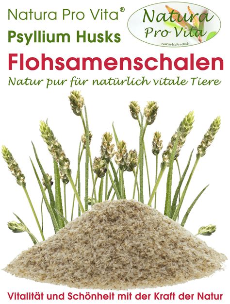 Flohsamenschalen Pferd gut für Magen Darm Verdauung Diätfutter