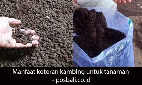 Posbali Co Id Situs Berita Teknologi Dan Lingkungan