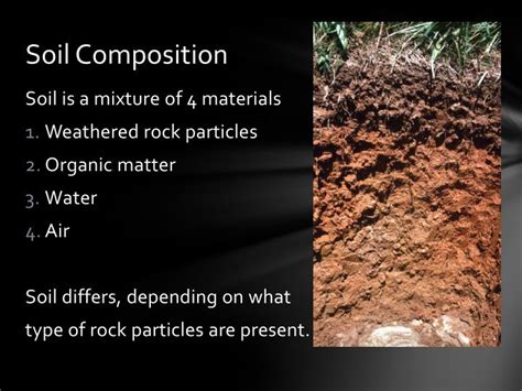 Ppt Soil Formation Powerpoint Presentation Id