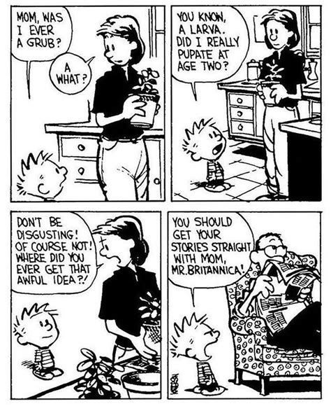 Exploring Calvin And Hobbes By Bill Watterson Viltennis