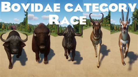 Bovidae Family Category Races in Planet Zoo included Wildebeest ...