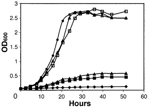 Growth Curves Of Rela And Suppressor Mutants In Minimal Medium Growth