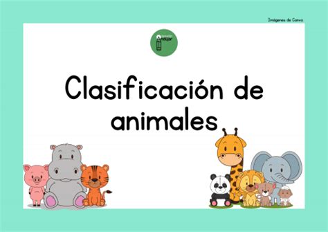 SemÁntica Clasificación De Animales