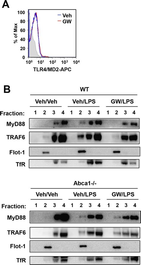 Figures And Data In Lxrs Link Metabolism To Inflammation Through Abca1 Dependent Regulation Of