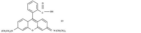 Visible Light Photoelectrocatalytic Degradation Of Rhodamine B Using Ti