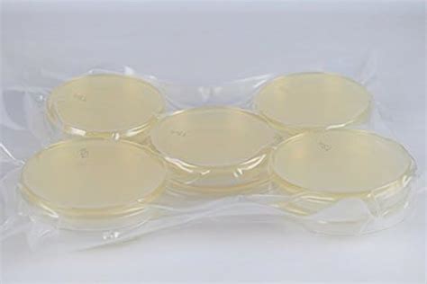 Tryptic Soy Agar TSA 10 Pack Pre Poured Flat Packed Vacuum