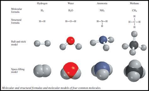 Molecular Formulas And Empirical Formulas Definitions Examples Read