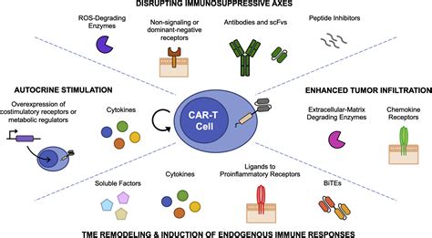 Engineering Car T Cells For Next Generation Cancer Therapy Cancer Cell