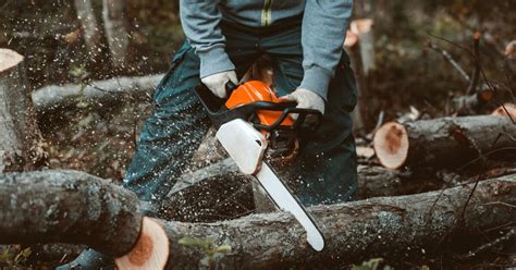 The 5 Best Chainsaws on the Market Right Now | Hometalk