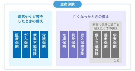 生命保険の種類をわかりやすく解説【医療・がん・就業不能・介護保険編】 マネーまるわかり