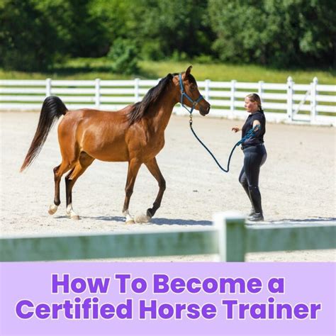 How to Become a Certified Horse Trainer: A Step-by-Step Guide