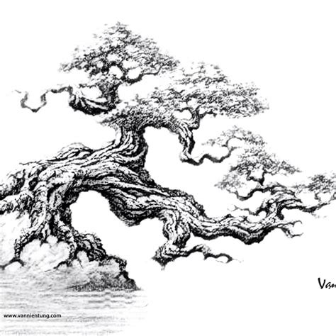 How To Draw A Bonsai Tree Step By Step At Heather Cotton Blog