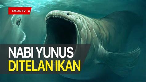 Kisah Nabi Yunus As Ditelan Ikan Besar Tagar Youtube