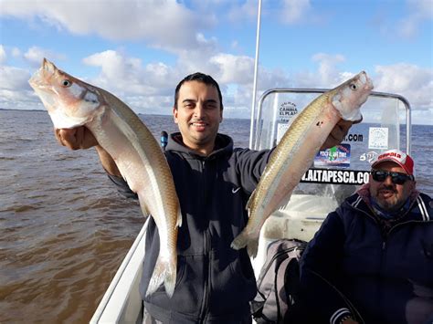 Guia De Pesca En Berisso Altapesca Ya Estan Los Gran Berisso