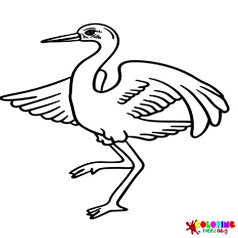 Coloriages Oiseau Grue Coloriages Gratuits à Imprimer