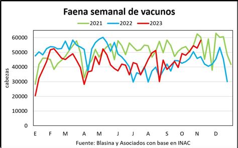 Faena de vacunos vuelve a romper el récord semanal Blasina y Asociados