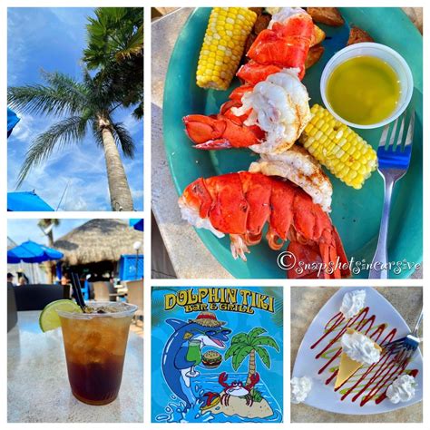 Dolphin Tiki Bar & Grill on Marco Island, Florida | Tiki bar, Marco island, Marco island florida