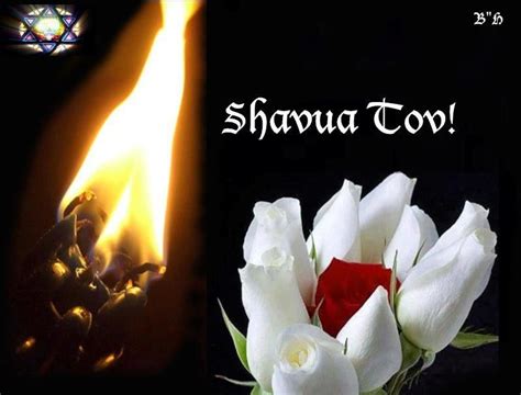 Judaism Shavua Tov Shavua Tov Shabbat Shalom Jewish Sign