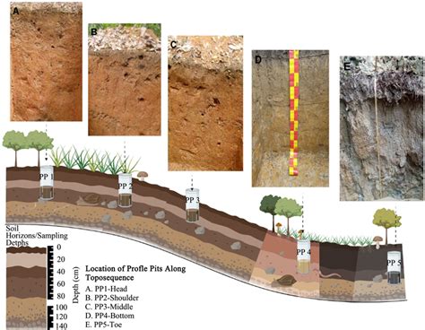 Genesis And Classification Of Soils From A Toposequence At Wamaso Ghana