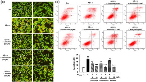 Liensinine Isoliensinine Or Neferine Reduce Pc12 Cell Apoptosis