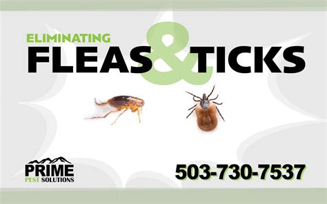 Flea And Tick Control - Prime Pest Solutions LLC