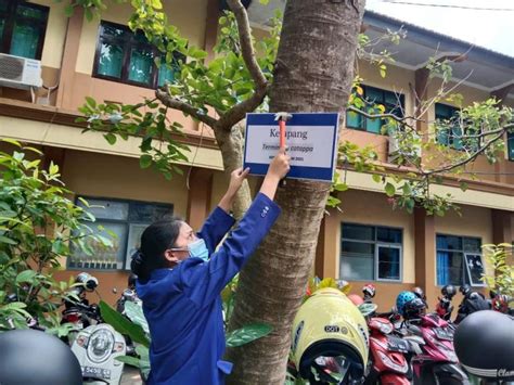 Detail Contoh Papan Nama Tanaman Koleksi Nomer