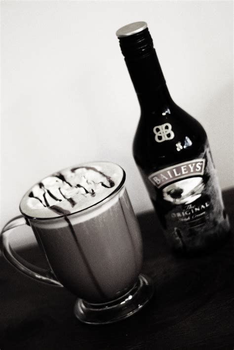 Bailey S Irish Cream Cafe Mocha Slyh In The Kitchen