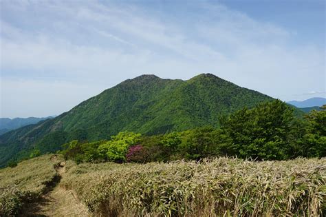 数年ぶりの竜ヶ岳・雨ヶ岳 本栖湖キャンプ場駐車場から 20230527 冬さんの毛無山・雨ヶ岳・竜ヶ岳の活動データ Yamap