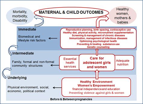 Preconception Interventions Framework Download Scientific Diagram