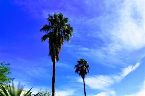 Se anuncia una máxima de 33º y cielo despejado para este miércoles en