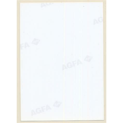 Erotic Study Slim Nude Females Standing Boobs Vintage Photo S