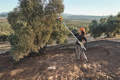 Stihl lanza al mercado el nuevo vareador de batería SPA 130