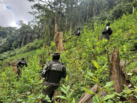 Fuerzas Armadas De Honduras On Twitter Las Ffaa A Trav S De La