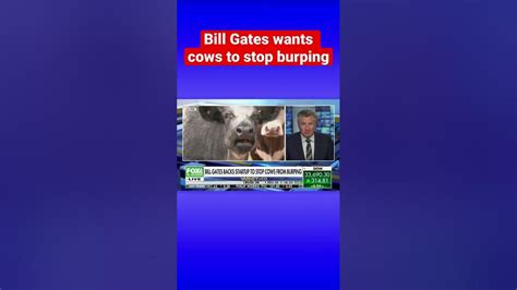 Bill Gates Is Backing A Startup To Stop Cows From Burping Shorts Youtube