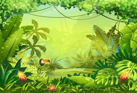 Rainforest Jungle Background Cartoon