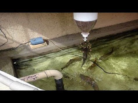 Diy fish feeder - tatafactor