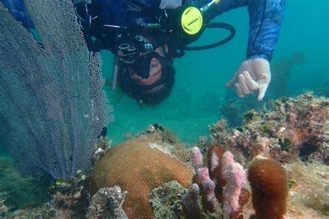 Rincon Expérience de plongée sous marine AUCUNE certification