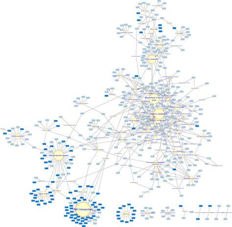 KEGG Orthology Groups KO Pathway Interaction Network Based On