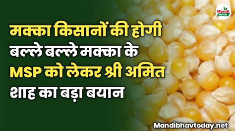 मक्का किसानों की होगी बल्ले बल्ले मक्का के Msp को लेकर श्री अमित शाह का बड़ा बयान जाने पूरी खबर